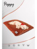 Paws&Whiskers Tierbett ''Puppy Dog'' in Orange