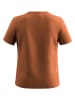 Salewa Szorty trekkingowe ""Puez Talveno Durastretch" w kolorze bordowym