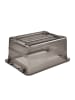 keeeper Opbergbox "Cornelia" grijs - 12 l
