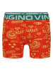 Vingino 5-delige set: boxershorts meerkleurig