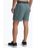 Under Armour Trainingsshort ''Vanish'' grijsblauw