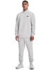 Under Armour Fleecepullover in Grau