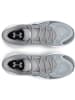 Under Armour Basketbalschoenen grijs