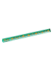 moses. 2er-Set: Lineale "Lovely Planet" - (L)21,5 cm (Überraschungsprodukt)