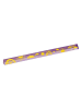 moses. 2er-Set: Lineale "Lovely Planet" - (L)21,5 cm (Überraschungsprodukt)