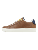 GAP Sneakers "Columbus" cognackleurig