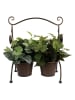 Clayre & Eef Plantenhouder bruin - (B)40 x (H)47 x (D)20 cm