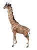 Clayre & Eef Figurka dekoracyjna "Giraffe" w kolorze jasnobrązowym - 37 x 59 x 14 cm