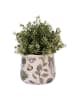 Clayre & Eef Bloempot beige/groen - (H)12 x Ø 14 cm