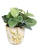 Clayre & Eef Bloempot wit/geel - (H)13 x Ø 14 cm