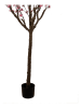 Clayre & Eef Decoboom lichtroze/bruin - (B)45 x (H)185 x (D)45 cm