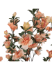 Clayre & Eef Decoboom oranje/groen - (B)20 x (H)135 x (D)20 cm