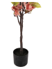 Clayre & Eef Decoboom lichtroze/groen - (B)20 x (H)120 x (D)15 cm