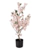 Clayre & Eef Decoboom lichtroze/groen - (B)30 x (H)90 x (D)30 cm