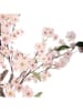 Clayre & Eef Dekobaum in Rosa/ Grün - (B)30 x (H)120 x (T)30 cm