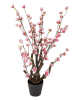 Clayre & Eef Dekobaum in Rosa/ Braun - (B)18 x (H)70 x (T)18 cm