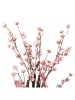 Clayre & Eef Decoboom lichtroze/bruin - (B)18 x (H)70 x (D)18 cm