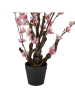 Clayre & Eef Decoboom lichtroze/bruin - (B)18 x (H)70 x (D)18 cm