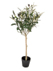Clayre & Eef Dekobaum in Grün/ Beige - (B)15 x (H)70 x (T)15 cm