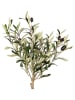 Clayre & Eef Decoboom groen/beige - (B)15 x (H)70 x (D)15 cm