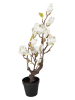 Clayre & Eef Decoboom wit/groen - (B)16 x (H)60 x (D)14 cm