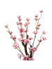 Clayre & Eef Dekobaum in Rosa/ Braun - (B)10 x (H)48 x (T)10 cm