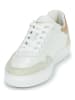 Pepe Jeans FOOTWEAR Skórzane sneakersy "Camden" w kolorze złoto-kremowym