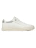 Pepe Jeans FOOTWEAR Sneakers "Kenton" in Creme/ Silber