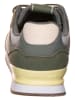 Pepe Jeans FOOTWEAR Sneakers "Contrast" in Khaki