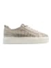 Wrangler Sneakers crème