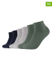s.Oliver 6er-Set: Socken in Khaki/ Dunkelblau/ Grau