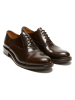 British Passport Leren veterschoenen bruin