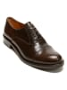 British Passport Leren veterschoenen bruin