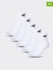 4F 5er-Set: Socken in Weiß