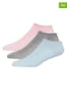 DKNY 3er-Set: Socken in Rosa/ Grau/ Hellblau