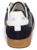 Steve Madden Sneakers donkerblauw