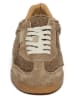 Steve Madden Sneakers in Beige
