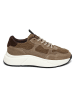 Steve Madden Sneakersy w kolorze jasnobrązowym