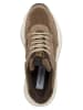 Steve Madden Sneakers in Hellbraun