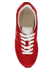Steve Madden Leren sneakers rood