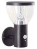 Brilliant Solarna lampa ścienna LED "Tulip" w kolorze czarnym - 16 x 24,5 x 17,5 cm