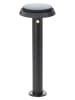 Brilliant Ledsolarvloerlamp "Alvero" zwart - (H)50 x Ø 20 cm