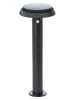 Brilliant Solarna lampa zewnętrzna LED "Alvero" w kolorze czarnym - wys. 50 x Ø 20 cm