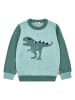 Steiff Pullover in Grün