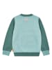 Steiff Pullover in Grün