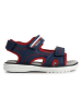 Geox Sandalen "Maratea" in Dunkelblau