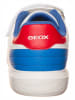 Geox Sneakers "Nettuno" in Weiß/ Blau