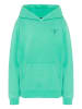 Chiemsee Bluza w kolorze zielonym