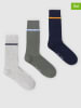 Pepe Jeans 3er-Set: Socken in Hellgrau/ Khaki/ Dunkelblau