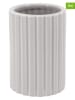 Azao 2-delige set: tandenborstelhouders ''Monica'' wit - (H)10 x Ø 7,1 cm